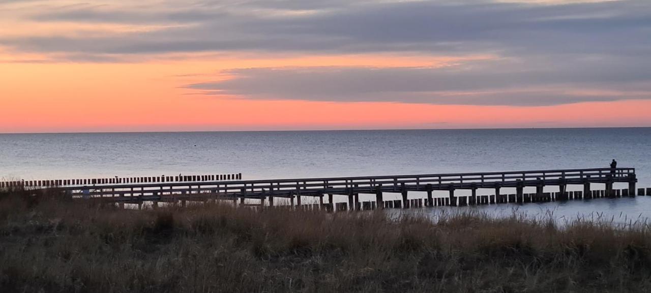 Haus Nadine Appartement Zingst Buitenkant foto